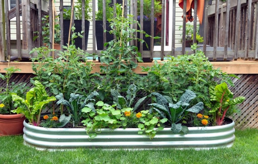 Planning the plot for the coming year