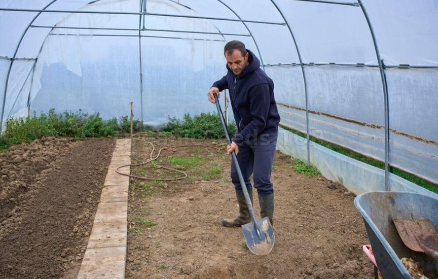 What you shouldn’t do in a greenhouse in spring – main mistakes