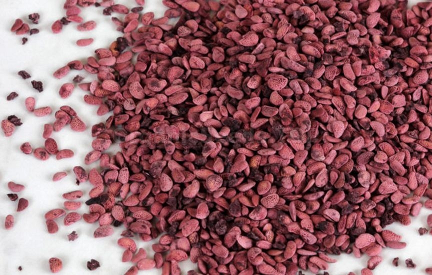 Growing raspberries from seeds at home