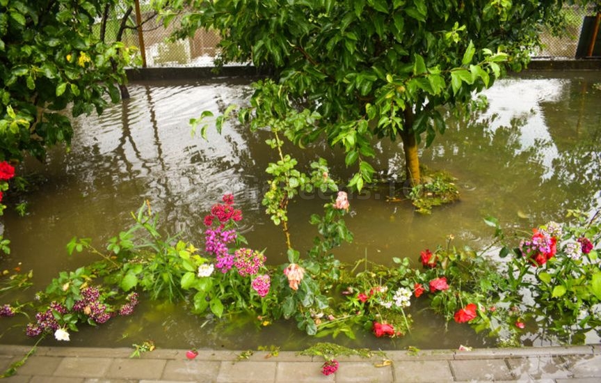 Planning the plot for the coming year