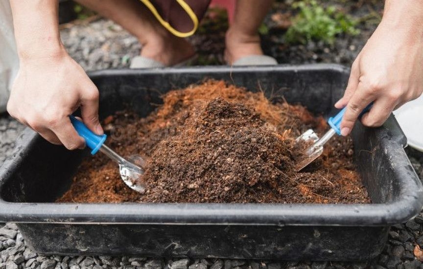 Preparation and storage of soil for seedlings