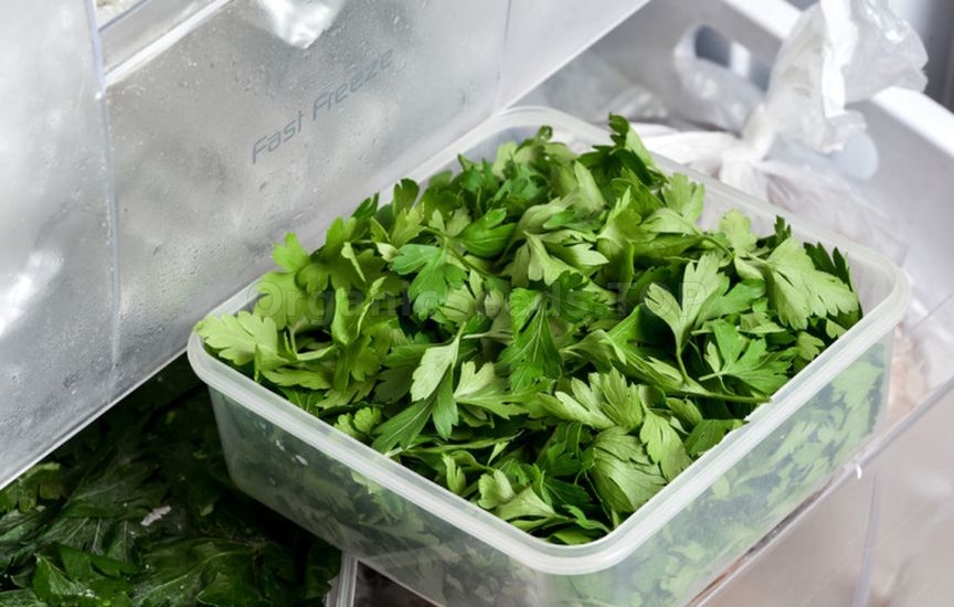 How to freeze herbs so they stay fragrant all winter How to freeze herbs so they stay fragrant all winter