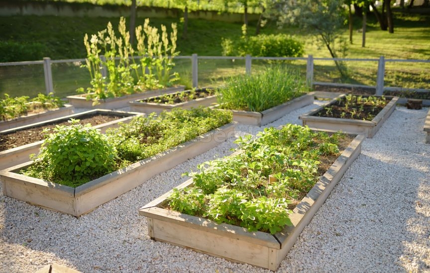 «Lazy» garden: how to cut maintenance in half