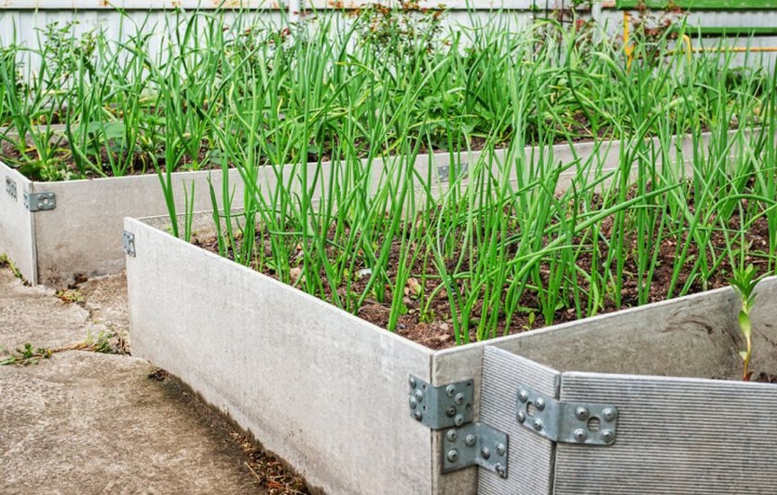 «Lazy» garden: how to cut maintenance in half