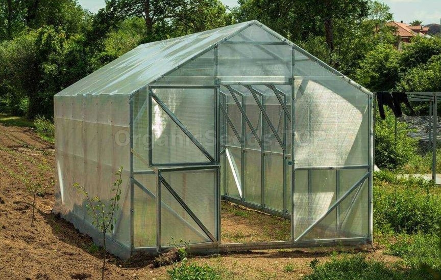 What you shouldn’t do in a greenhouse in spring – main mistakes