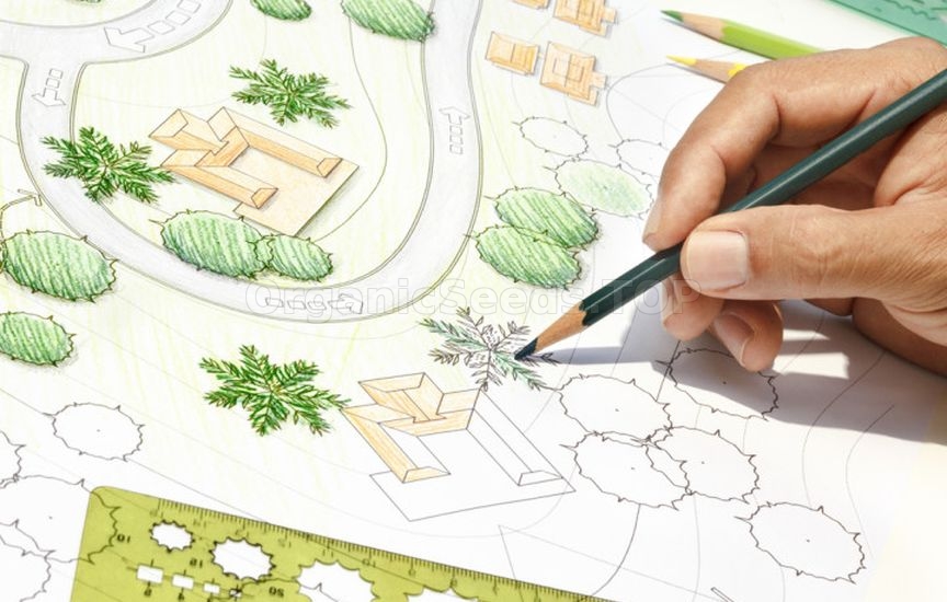 Planning the plot for the coming year