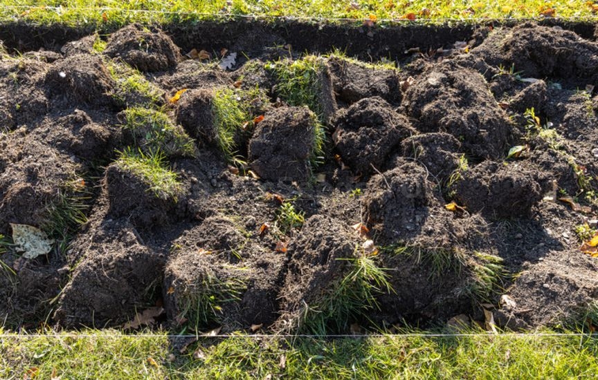 Do you need to dig up the garden in autumn: analyzing the pros and con