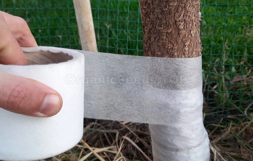 Garden bandage: how to use and what to replace with Garden bandage: how to use and what to replace with
