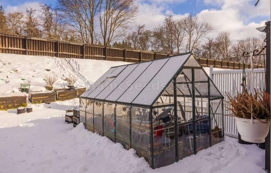 How to make a greenhouse useful in winter