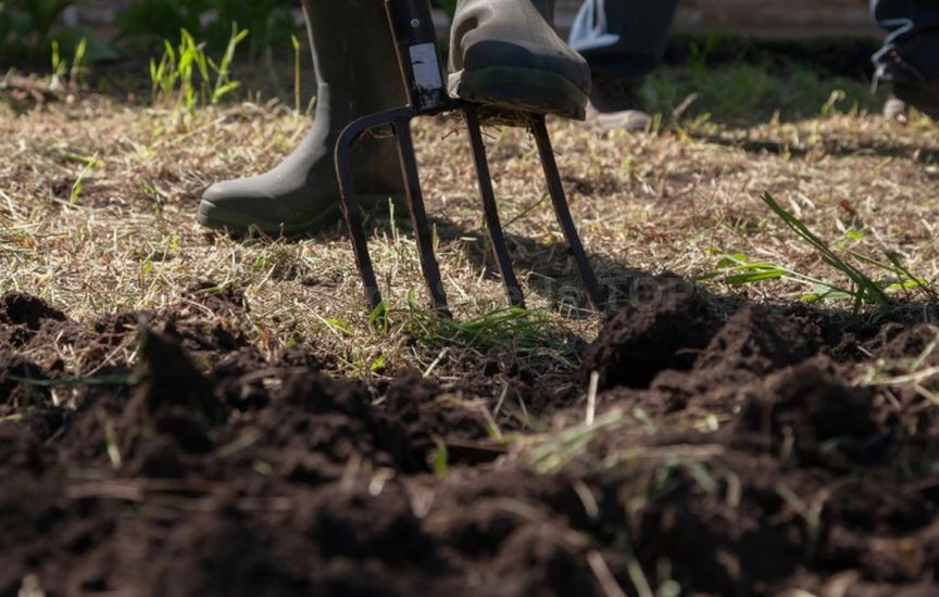 Do you need to dig up the garden in autumn: analyzing the pros and con