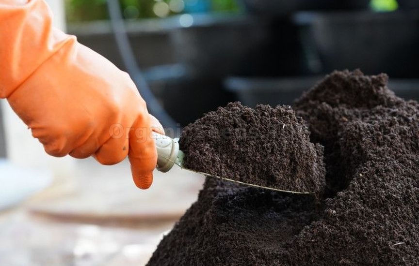 Preparation and storage of soil for seedlings