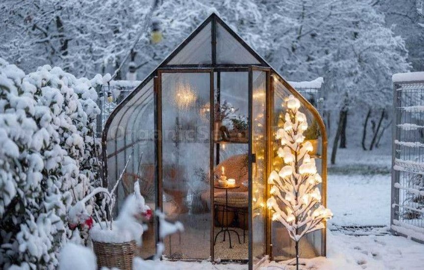 How to make a greenhouse useful in winter