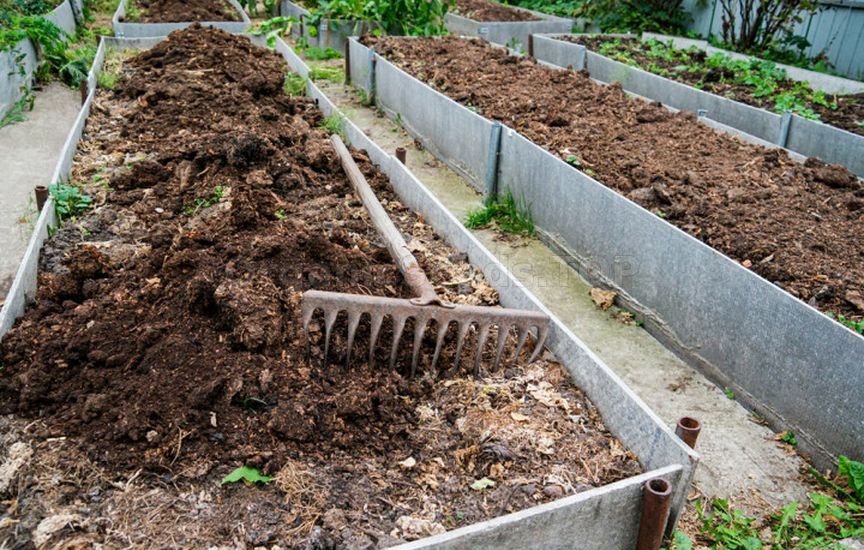 What to do with garden beds after harvesting What to do with garden beds after harvesting