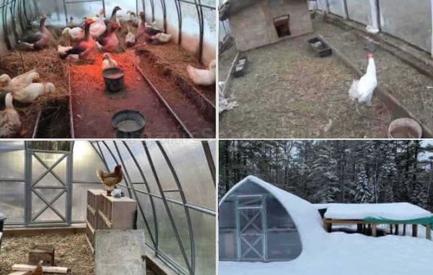 How to make a greenhouse useful in winter