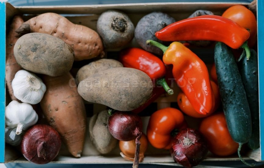 Which vegetables should not be stored next to each other