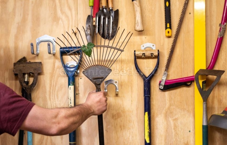 How to prepare garden tools for winter How to prepare garden tools for winter