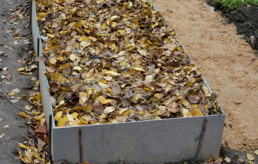 What to do with garden beds after harvesting What to do with garden beds after harvesting