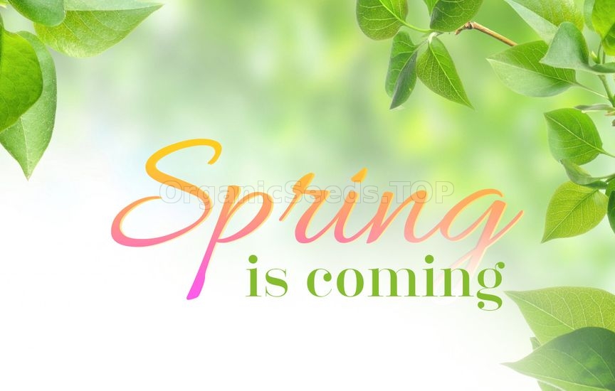 Go Green With Organic Fertilizers!