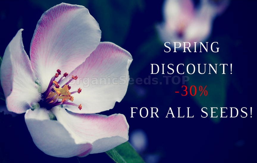 Spring discounts up to -30%
