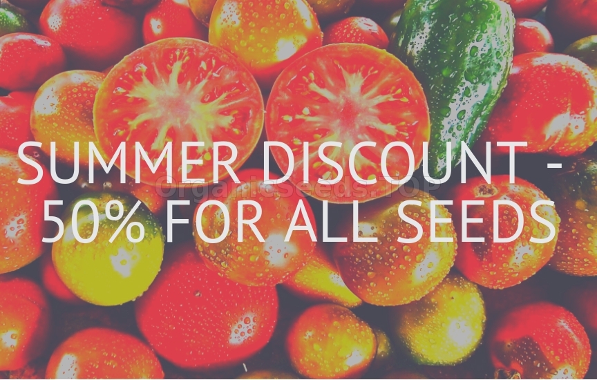 SUMMER DISCOUNT - 50% !