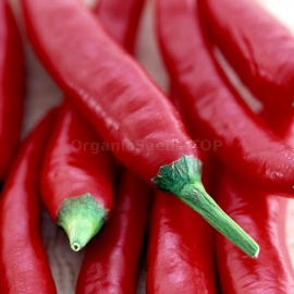 «Flame» - Organic Hot Pepper Seeds