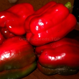 «Ananstasia» - Organic Pepper Seeds