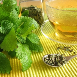 «Lemon Balm» - Organic Herbal Tea - 15 Grams