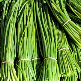 «Fragrant» - Organic Chinese Leek Seeds
