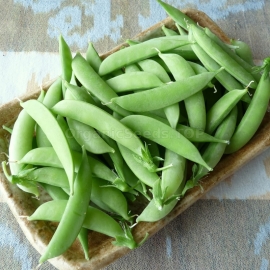 «Bingo» - Organic Pea Seeds