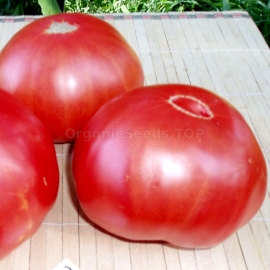 «Heaven Delight» - Organic Tomato Seeds