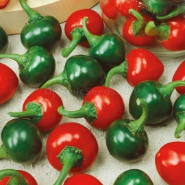 «Cherry» - Organic Hot Pepper Seeds