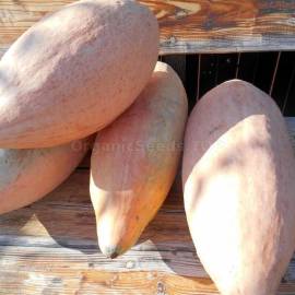 «Pink Banana» - Organic Pumpkin Seeds