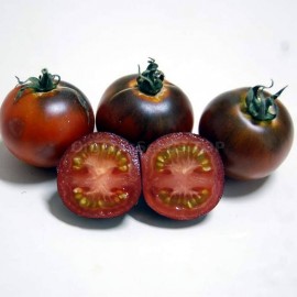 «Alki blue blood» - Organic Tomato Seeds