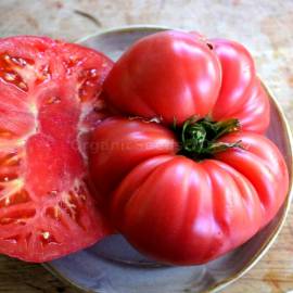 «Americke pyramidni» - Organic Tomato Seeds