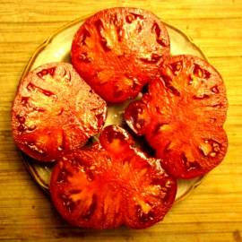 «Boondocks» - Organic Tomato Seeds