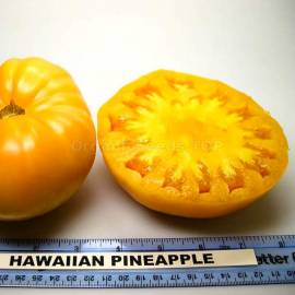 Tomato seeds HAWAIIAN PINEAPPLE 
