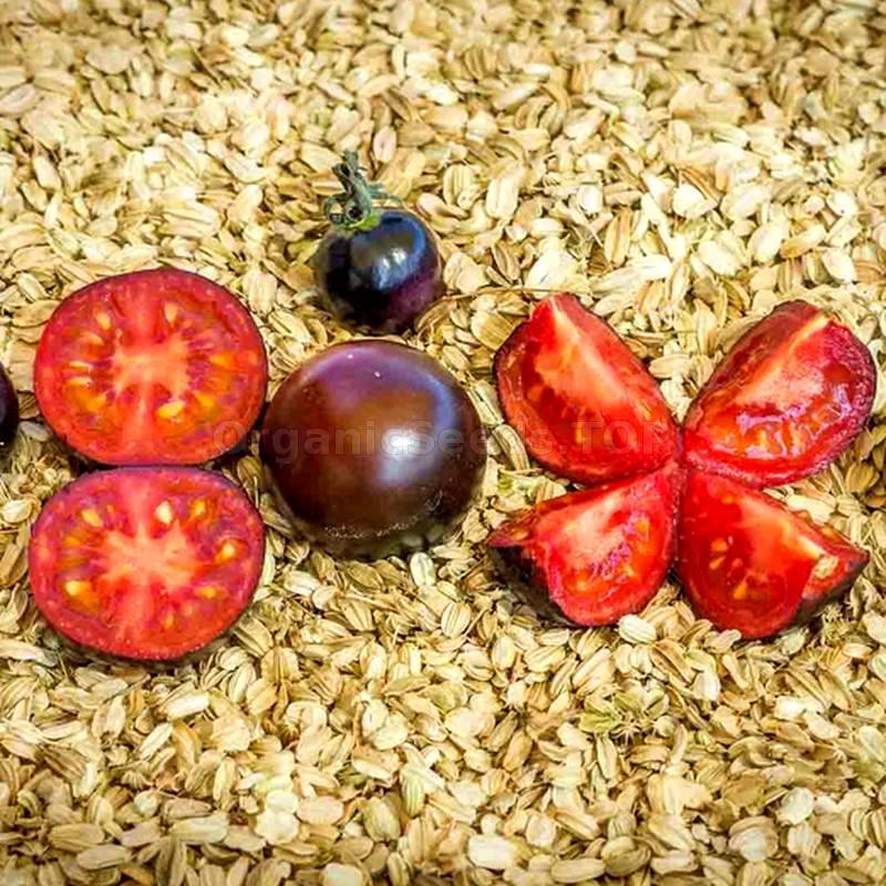 Helsing Junction Blues - Heirloom Tomato Seeds