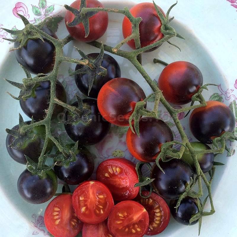 Helsing Junction Blues» - Organic Tomato Seeds - ❀ Shipping is free for  orders over €50