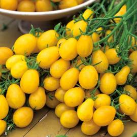 15/150 Seeds Tomato Yellow Cherry Ildi Extraordinaire Product Of Masses