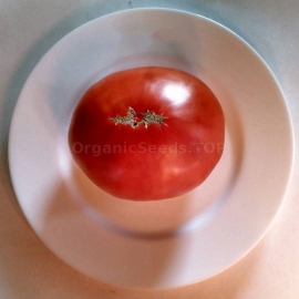 «Planet» - Organic Tomato Seeds