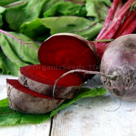 «Dark Red» - Organic Beetroot Seeds