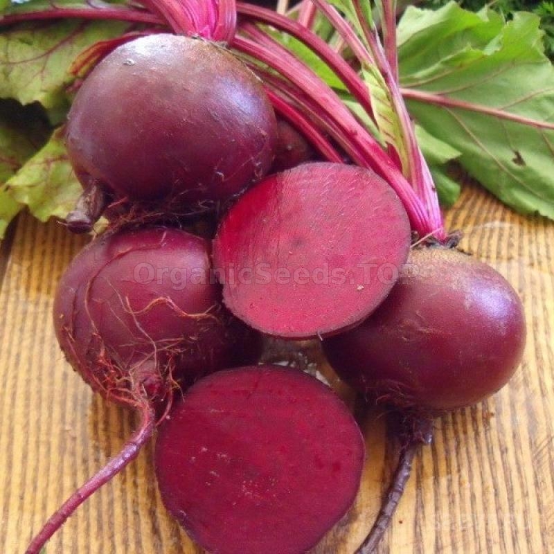 «Detroit Dark Red» - Organic Beetroot Seeds - Shipping Is Free For ...