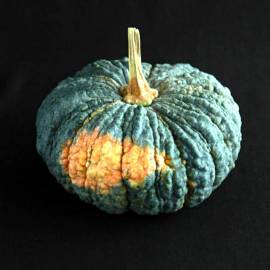 «Beung Karn» - Organic Pumpkin Seeds