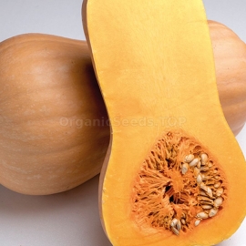 «Matilda» - Organic Pumpkin Seeds