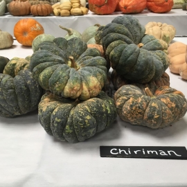 «Chiriman» - Organic Pumpkin Seeds