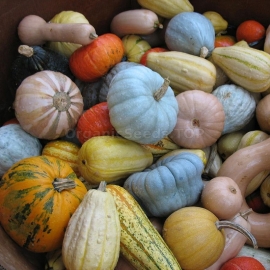 «Assorted» - Organic Pumpkin Seeds