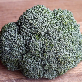 «Ramoso» - Organic Broccoli Seeds