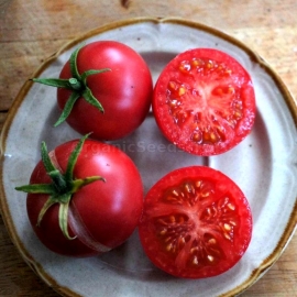 «Mikado red» - Organic Tomato Seeds