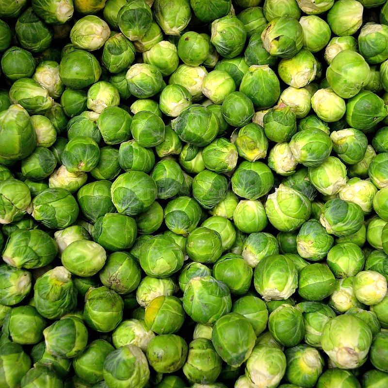195 'KINGS' QUALITY brussel sprout seven hills  seeds-garden Vegetable