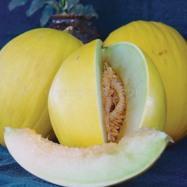 «Krinicanka» - Organic Melon Seeds